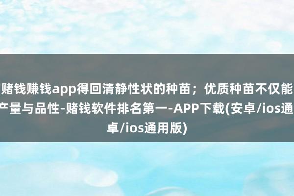 赌钱赚钱app得回清静性状的种苗；优质种苗不仅能普及产量与品性-赌钱软件排名第一-APP下载(安卓/ios通用版)