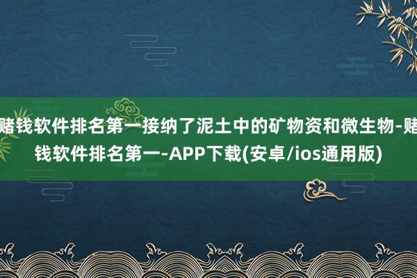 赌钱软件排名第一接纳了泥土中的矿物资和微生物-赌钱软件排名第一-APP下载(安卓/ios通用版)